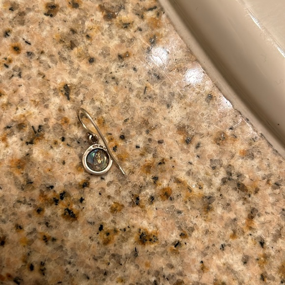 Abalone embedded circle earrings - Picture 6 of 6